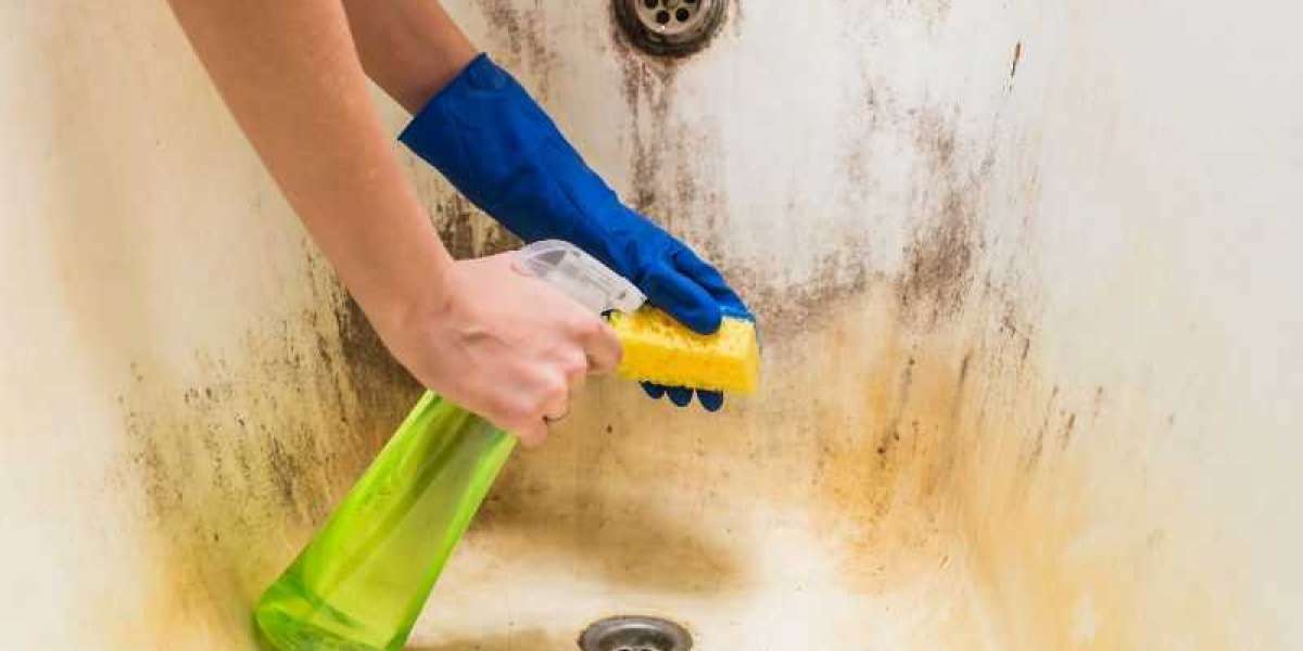Mould Removal Newcastle Experts: Providing Effective Mould Inspection and Removal Services