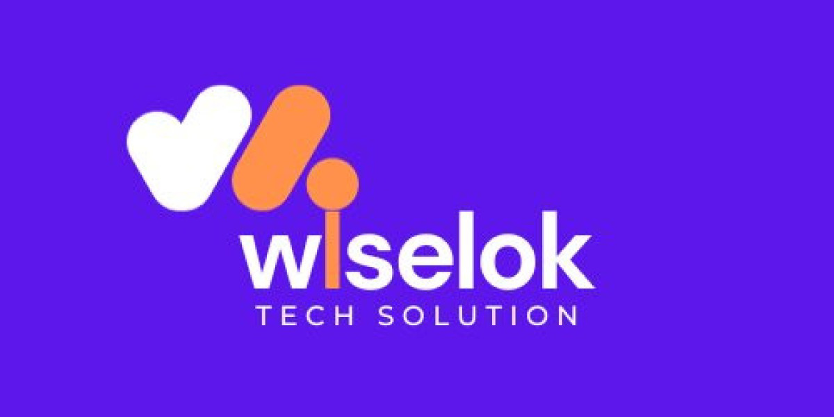 WiseLok techsolution: A Premier Digital Marketing Company