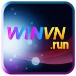 winvn run