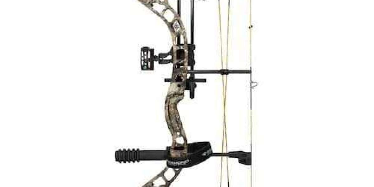 7 Best Compound Bow for Beginners for Starting Your Archery Journey