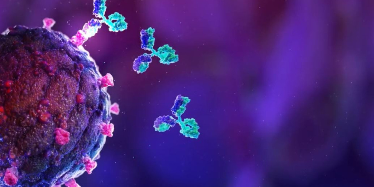Unlocking Antibody Potential: AI-Powered Design Propels Custom Antibody Market Growth