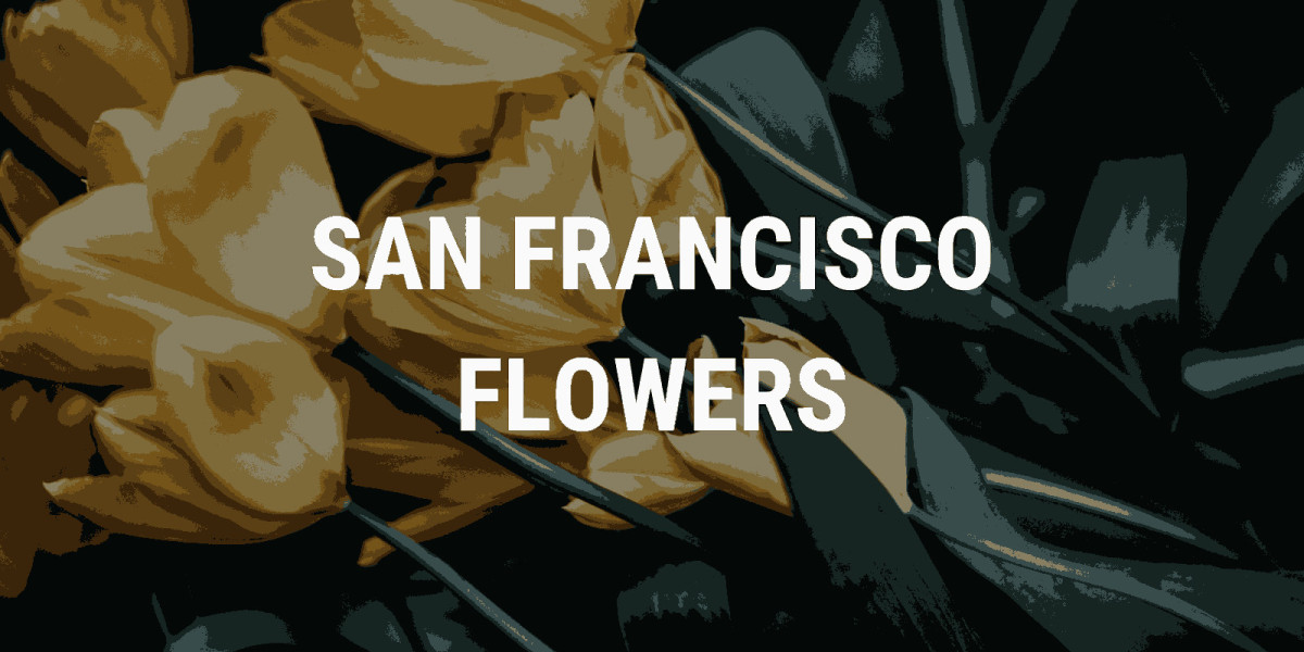 Blooms and Beyond: Discovering the Floral Wonders of San Francisco