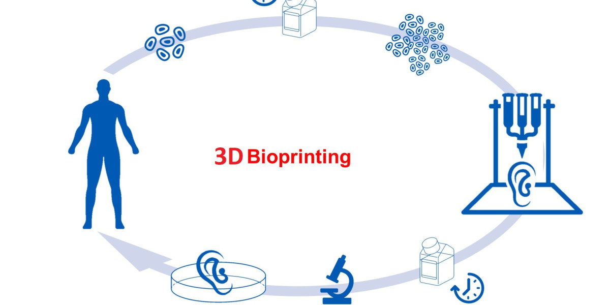 Beyond Research Labs: Exploring the Diverse Applications of 3D Bioprinting
