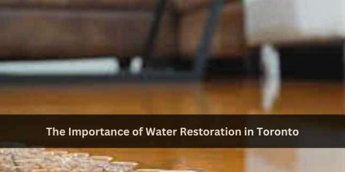 The Importance of Water Restoration in Toronto