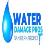 Water Damage Pros