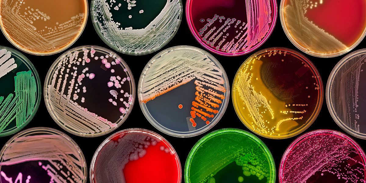 Beyond Probiotics: The Cutting-Edge Science of Microbiome Supplements