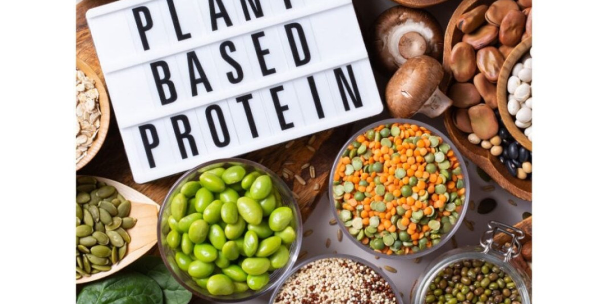 Plant Protein Market Rising Trends, Latest Technologies Research and Future Scope by 2033