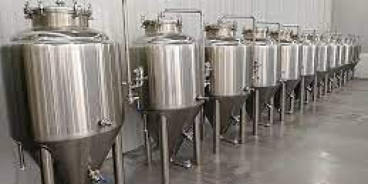 Stainless Steel Fermenter Market Outlook: Analysis by Type, Application, and Region (2024-2032)