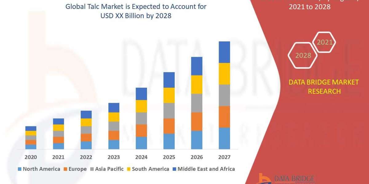 Talc Market Competitive Landscape and Regional Analysis: Segmentation and Investment Opportunities