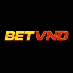 Betvnd Asia
