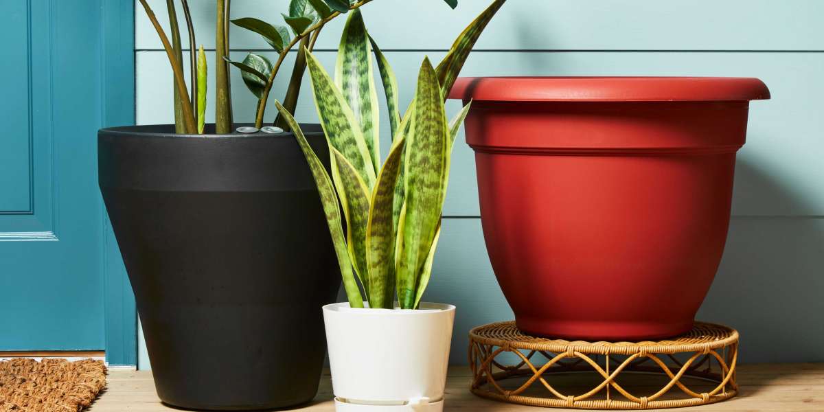 Self-watering Planters and Pots  Market Analysis,  Future Growth by Forecast To 2031