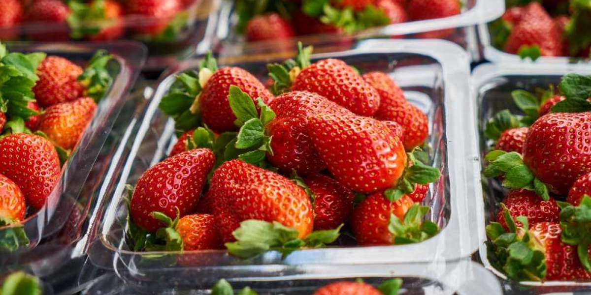 Processing Strawberry Market Growth, Consumption, Export, Import Analysis & Forecast 2032