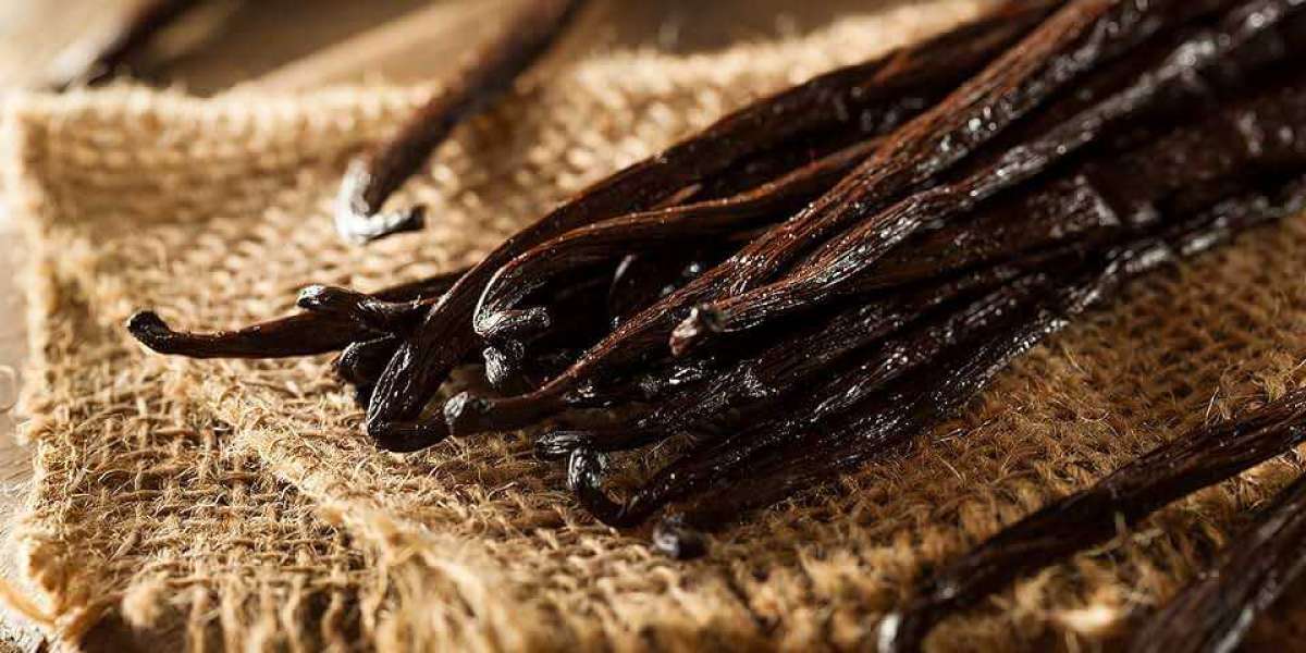 Vanilla Bean Market Types and Applications, Status and Forecast to 2031