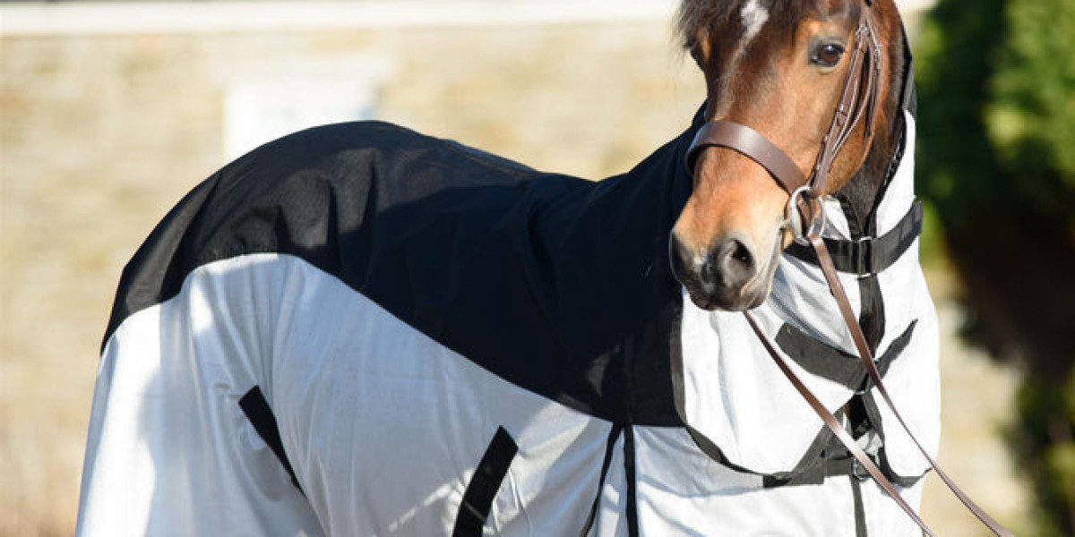 Keeping Your Horse Cozy: The Ultimate Guide to No Fill Turnout Rugs
