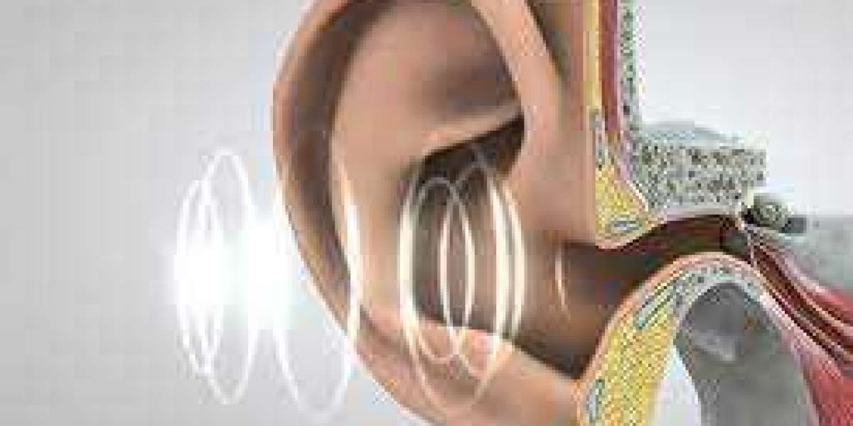 Unraveling the Journey: How Sound Travels from Your Ear Cells to Your Brain Networks