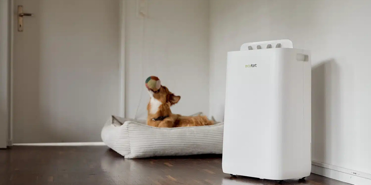 Beat Humidity with Efficient and Reliable Dehumidifiers