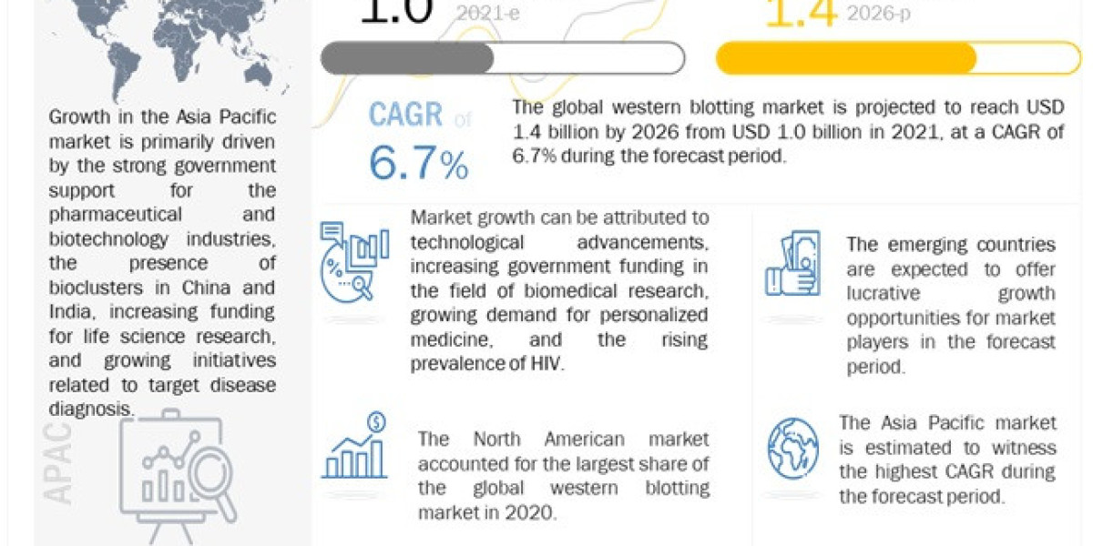 Global Western Blotting Market Growth Rate, CAGR, Key Players Analysis Report 2026
