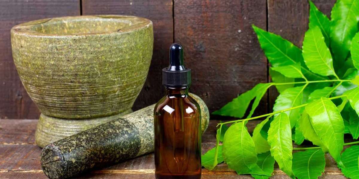 Neem Extract Market Innovation Trends & New Business Models by 2032