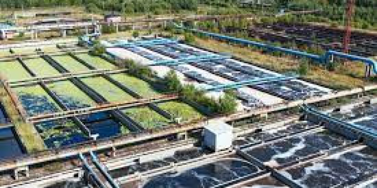 Biological Wastewater Treatment Market Size, Share Analysis, Key Companies, and Forecast To 2030