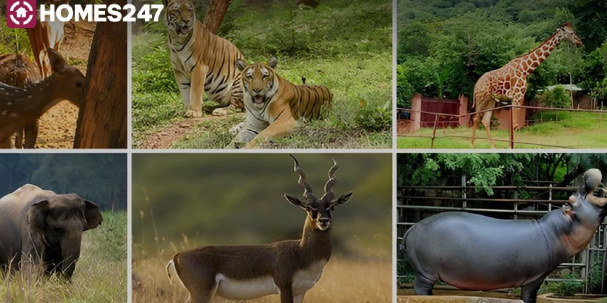 Amazing 10 Zoological Parks in India You Must Visit