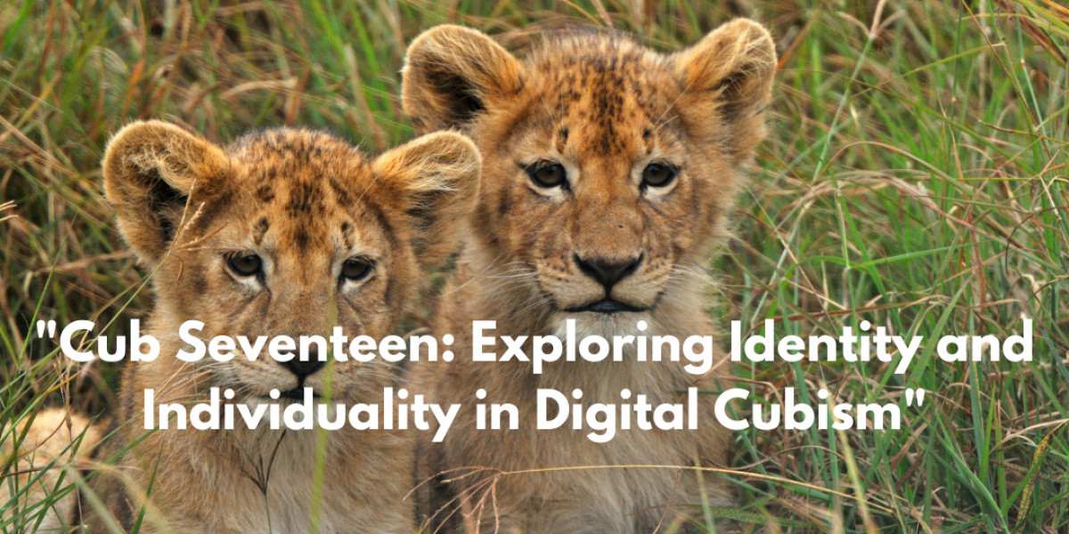 Cub Seventeen: Exploring Identity and Individuality in Digital Cubism