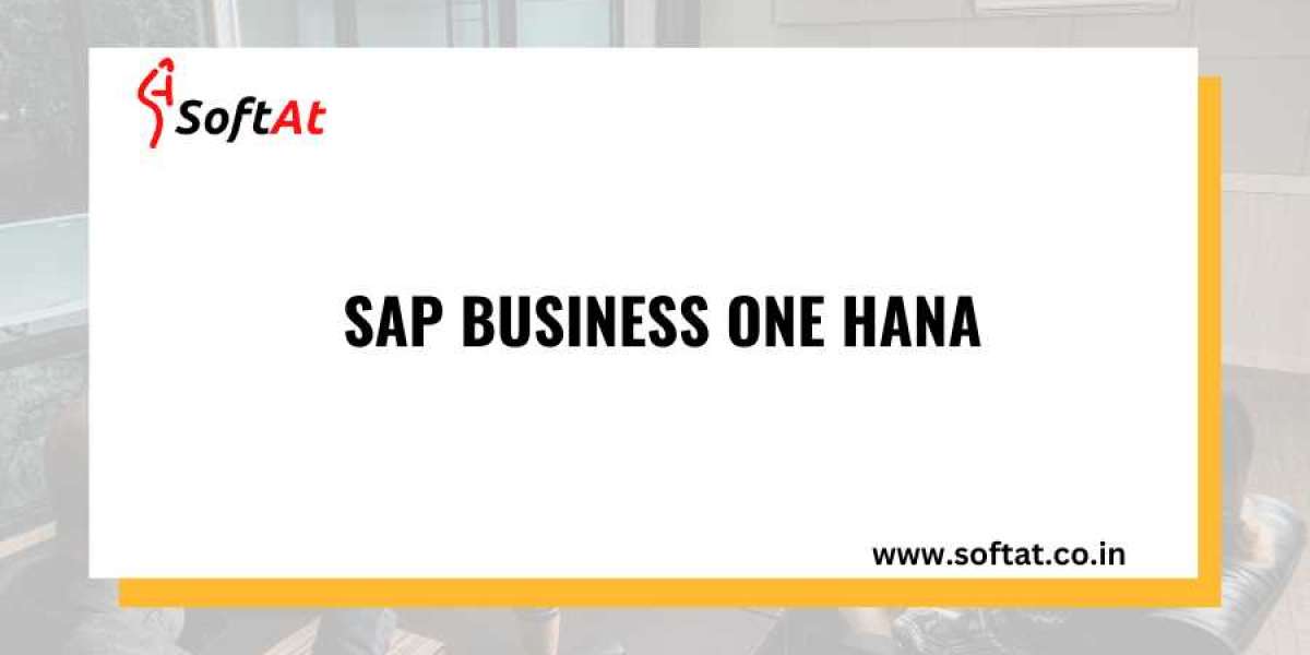 A Deep Dive into SAP Business One HANA