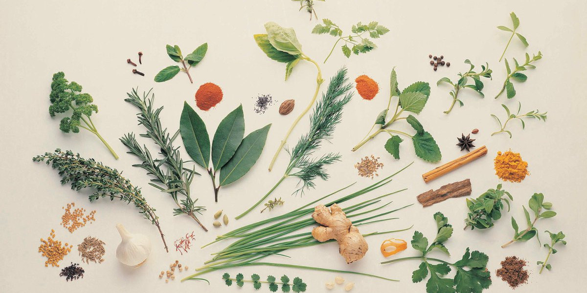 From Ancient Herbs to Modern Medicine: Medicinal Plant Extracts Offer Sustainable Wellness Solutions