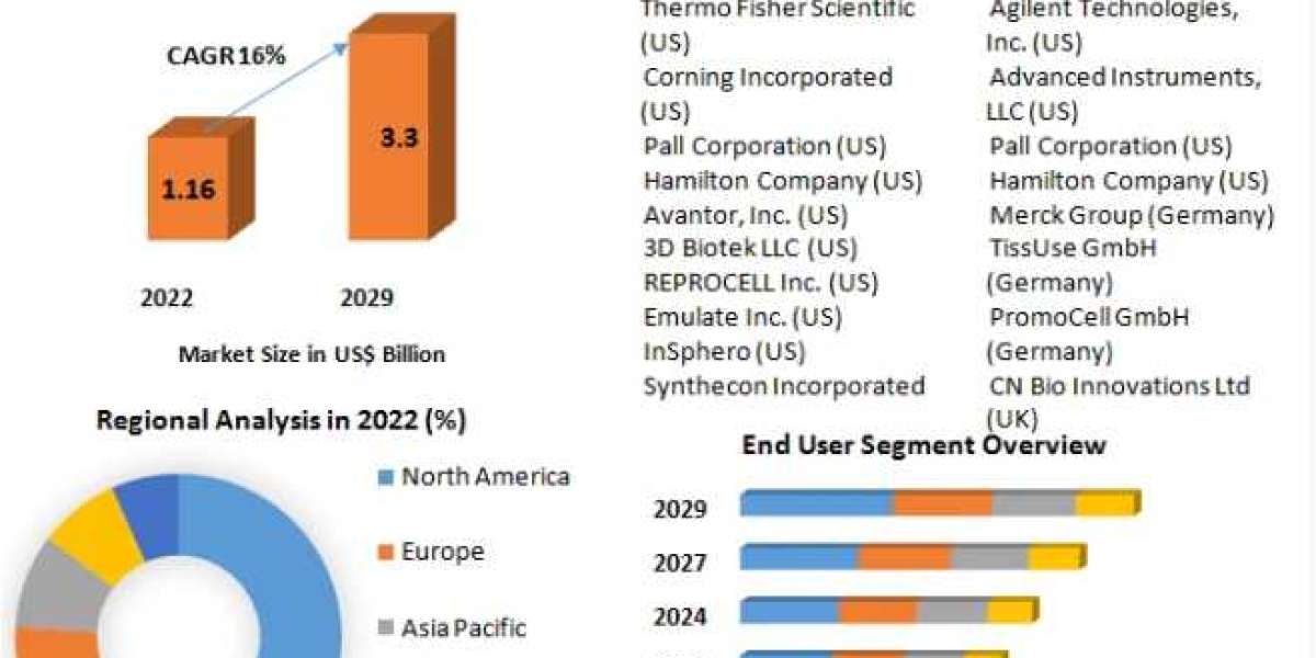 3D Cell Culture Market Size, New Innovations Trends, Research, Global Share and Growth Factor and Forecast: 2029