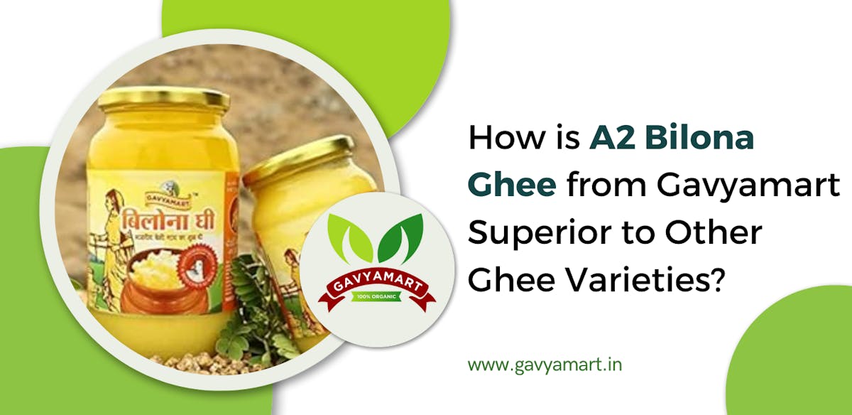 A2 Bilona Ghee from Superior to Other Ghee Varieties | Gavyamart