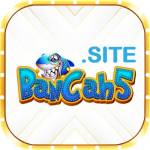 BancaH5 site