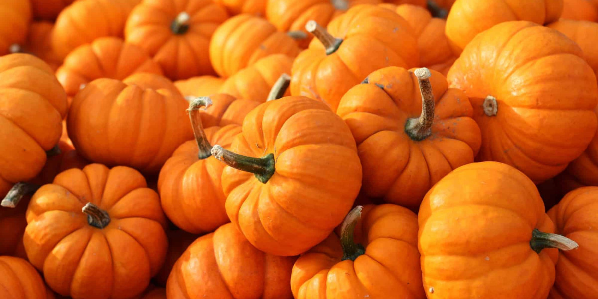 Exploring the Pumpkin Spice Market: Trends, Analysis, and Global Impact