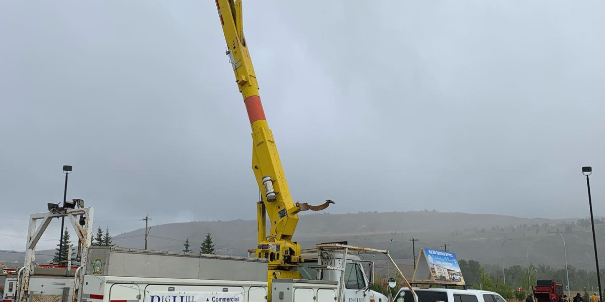 Elevate Your Projects: Unveiling the Power of Bucket Truck Services
