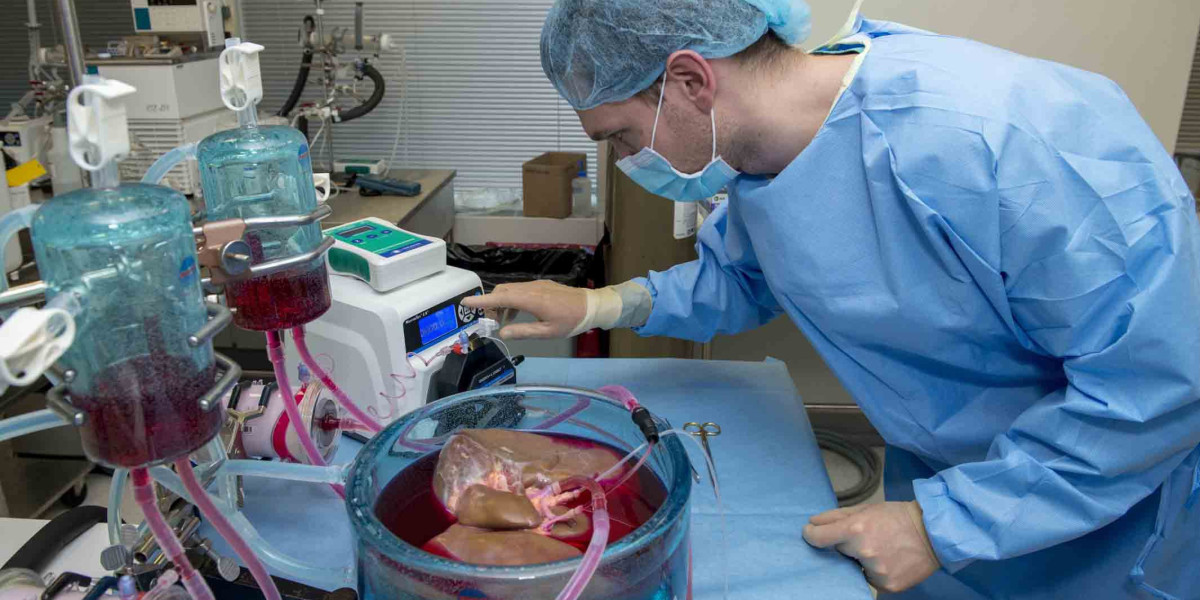 Europe Organ Preservation Market Report 2024 | Growth, Size, Demand and Forecast by 2032