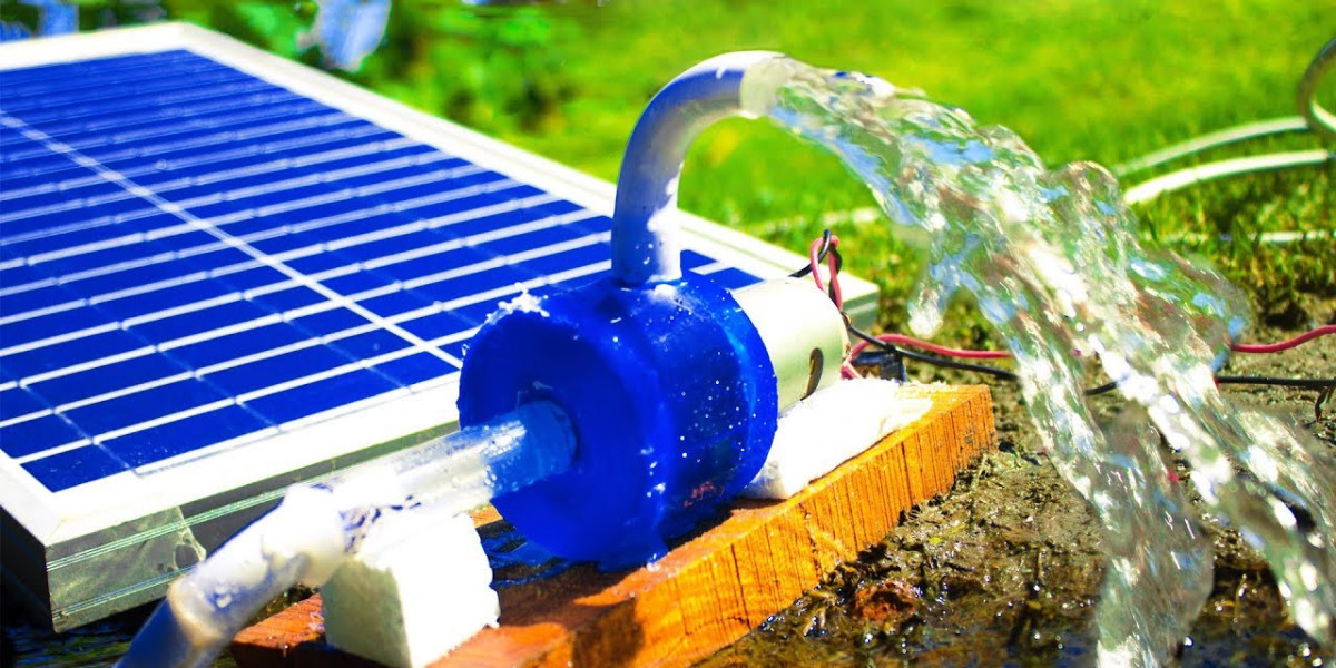 Sustainable Solutions: Deciphering the Dynamics of the Solar Water Pump Systems Industry