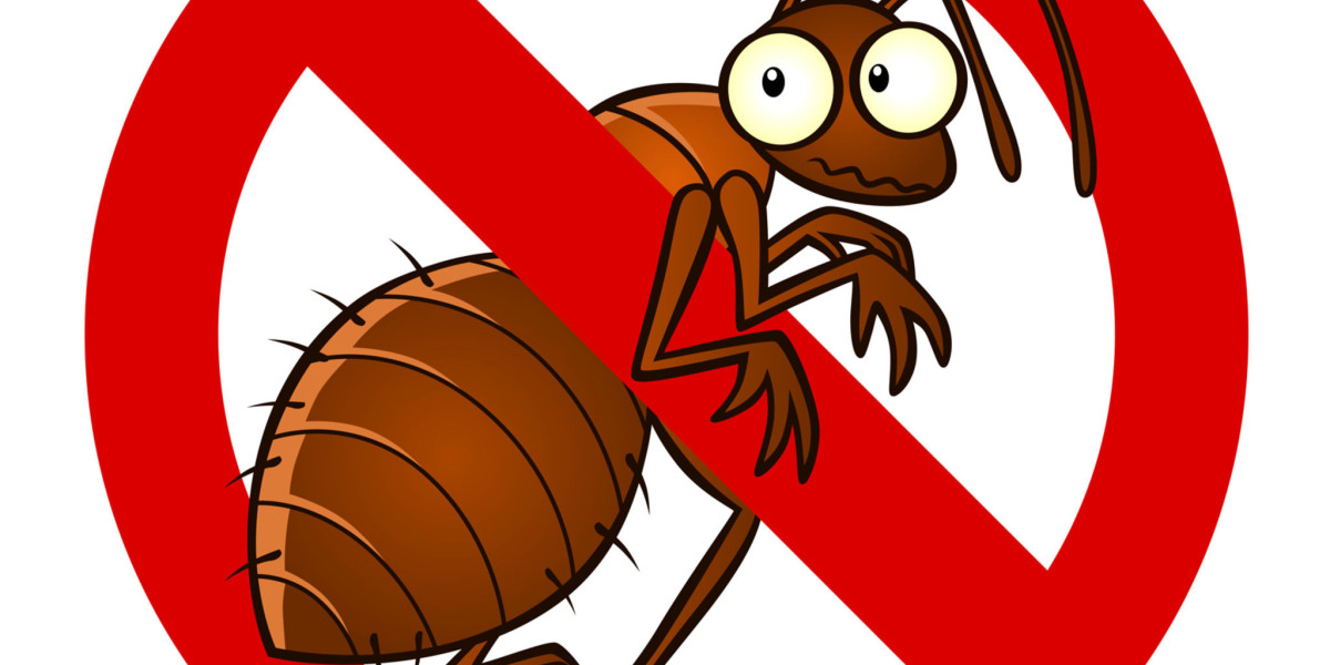 Proven Strategies for a Pest-Free Home: Your Complete Resource
