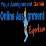 online assignment justin