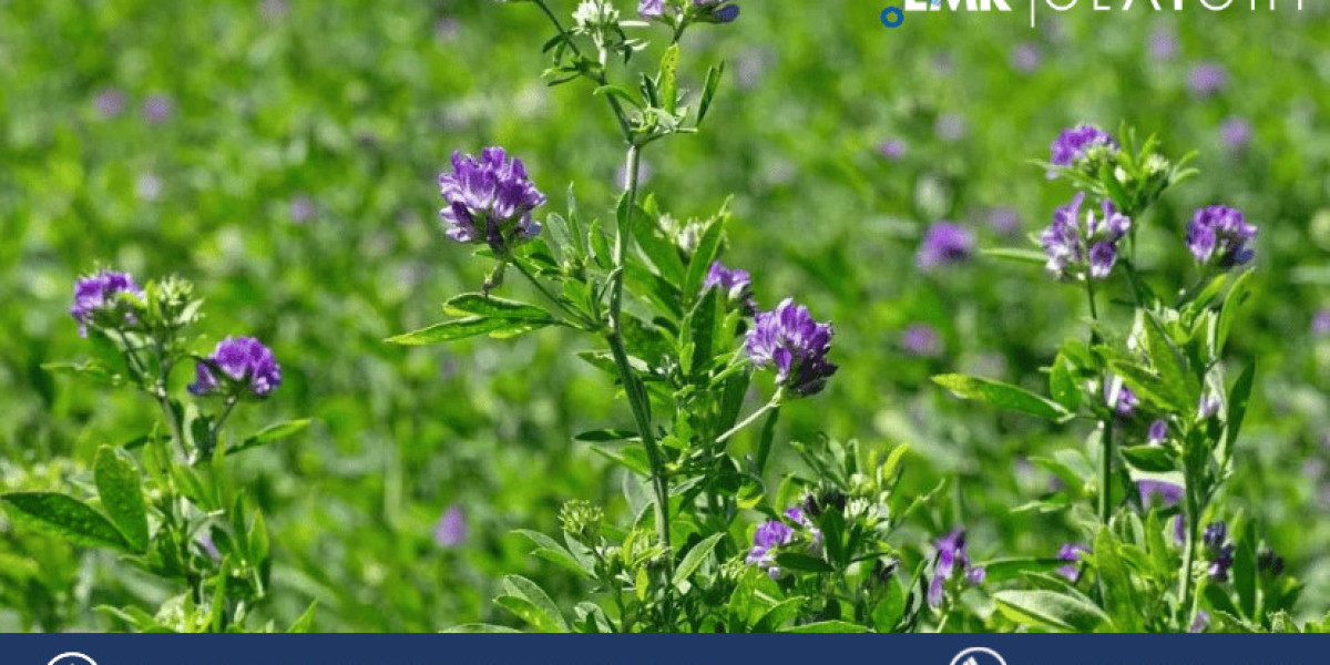 Navigating Growth: Understanding Trends in the United States Alfalfa Market