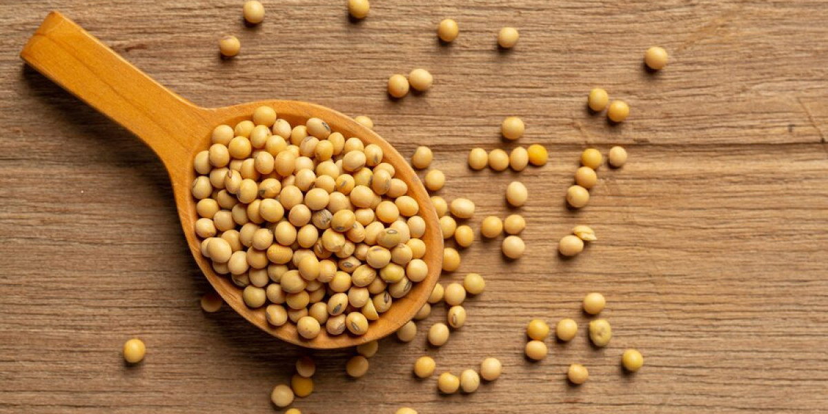 Global Soy Hydrolysate Market: Unveiling Growth Trajectories and Market Dynamics