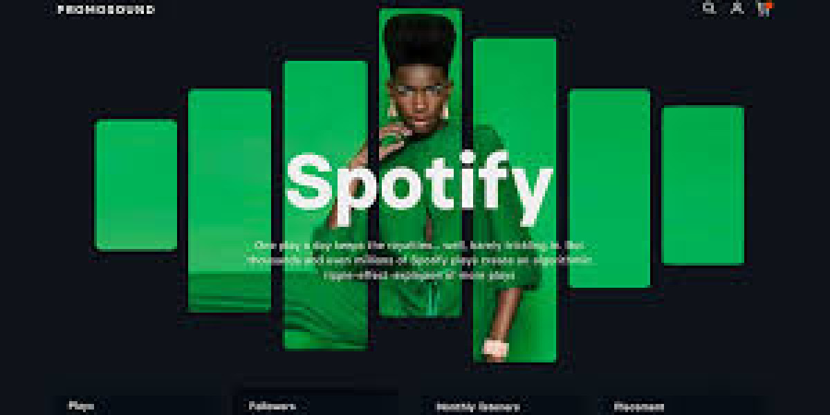 Spotify Feeling A Blueprint for Promotion Triumph