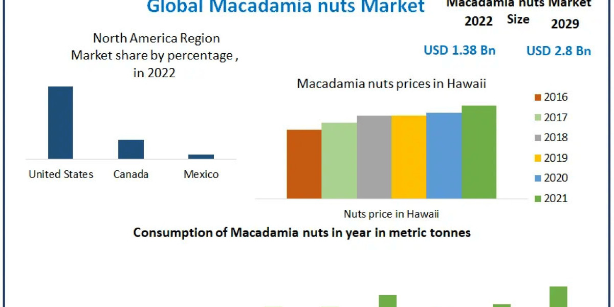 Macadamia Nuts Market Analysis: Trends, Growth, and Forecast