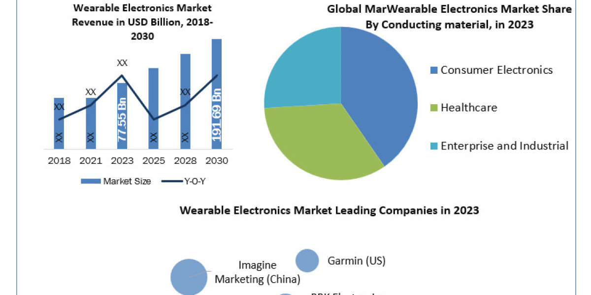 Wearable Electronics Market