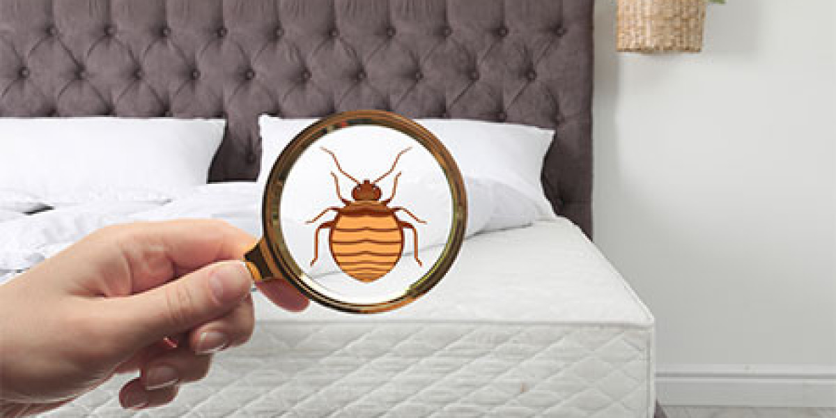 Comprehensive Bed Bug Pesticide Treatment: Guaranteed Satisfaction