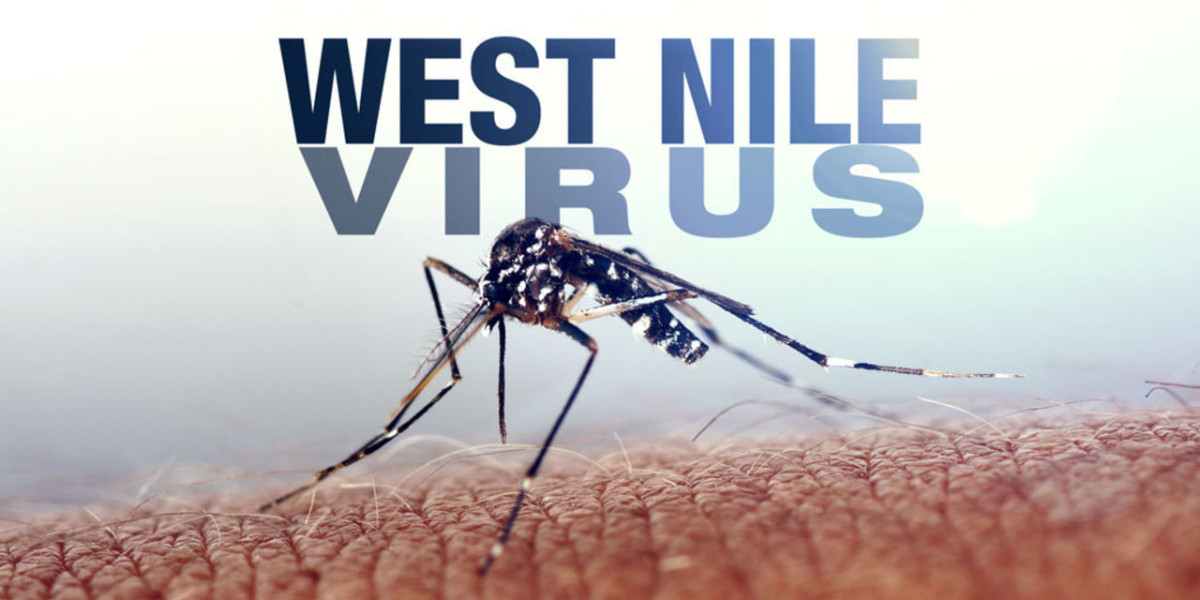 West Nile Virus: Global Impact And Ongoing Research