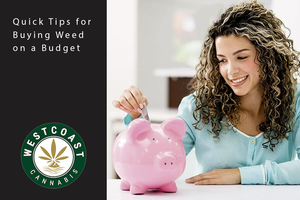 Quick Tips for Buying Weed on a Budget - West Coast Cannabis