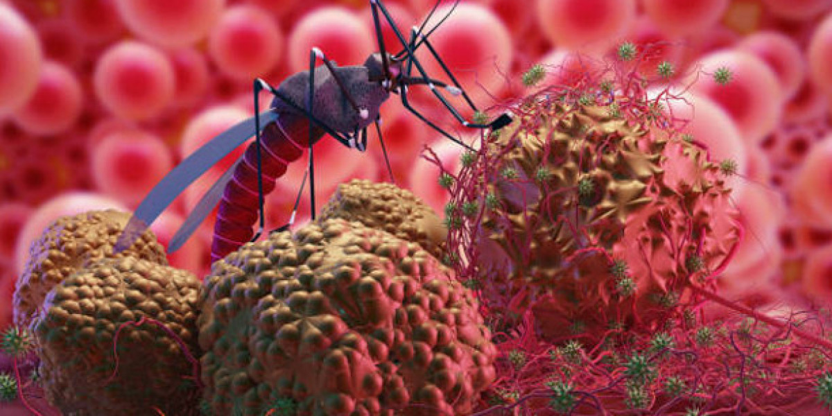 Dengue Fever Market Report 2024-2034 | Industry Size, Growth and Latest Insights