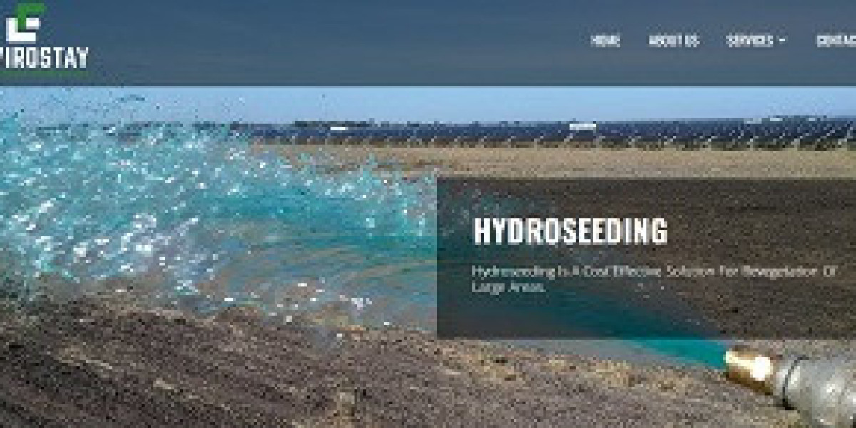Unlocking the Green: Navigating Hydroseeding Costs and Services