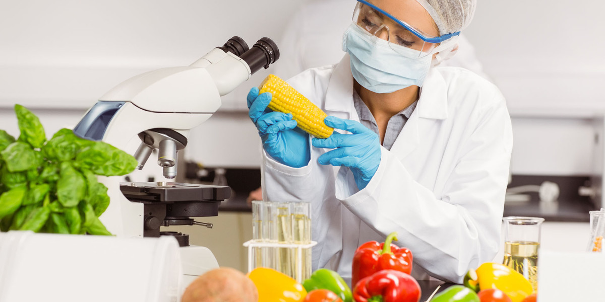 Securing Global Food Chains: Dynamics of Food Safety Products and Testing Solutions Market