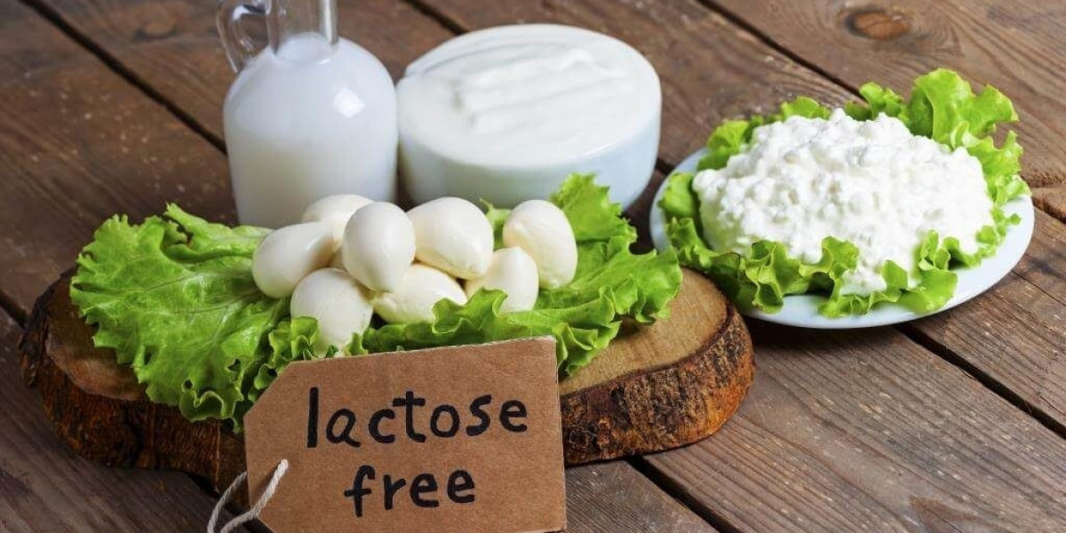 Lactose Free Food Market fueled by growing lactose intolerance rates