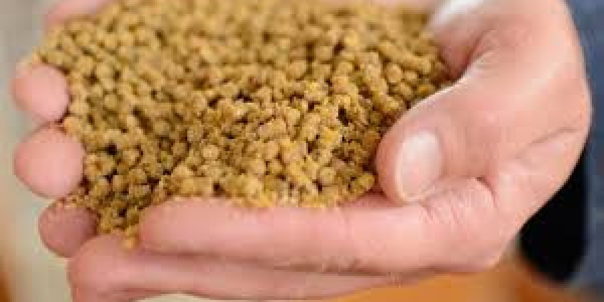 Organic Feed Additives Market Dynamics  En Route to USD 49.8 Billion by 2032"