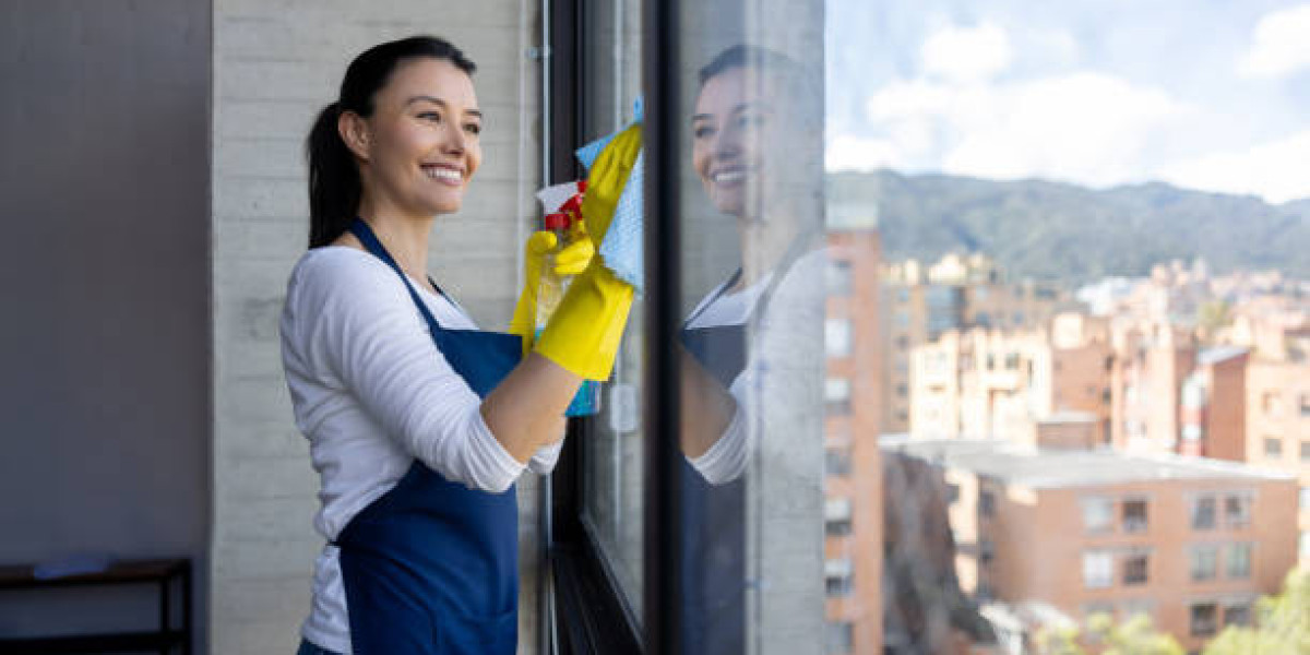Window Wizardry: Expert Techniques for Sparkling Clean Windows